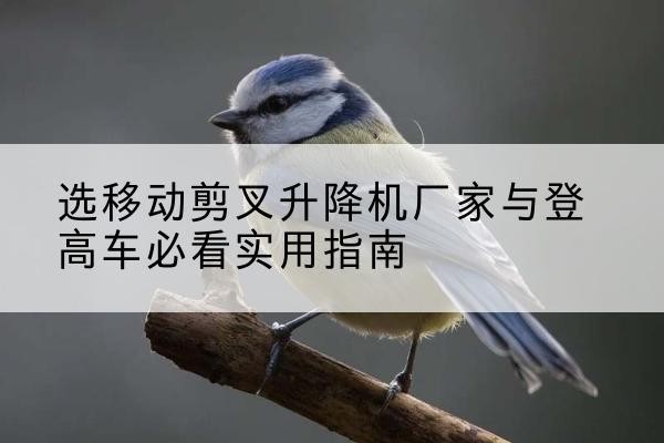 隆回电动升降机厂家-选移动剪叉升降机厂家与登高车必看实用指南