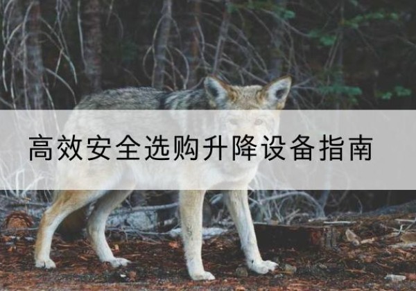 隆回升降货梯厂家推荐-*安全选购升降设备指南